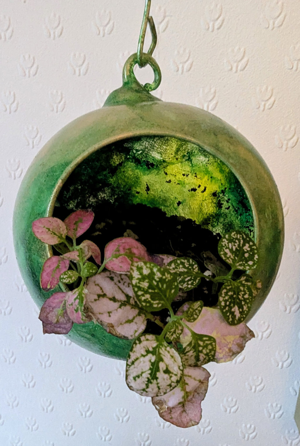 Cute Hanging Plant Holder in Green