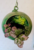 Cute Hanging Plant Holder in Green